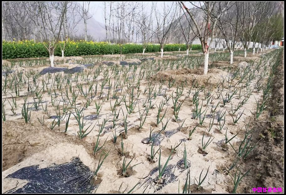 7dad552b308937d94adc95ed6180c1dd.jpg nEO_IMG_图片1.jpg