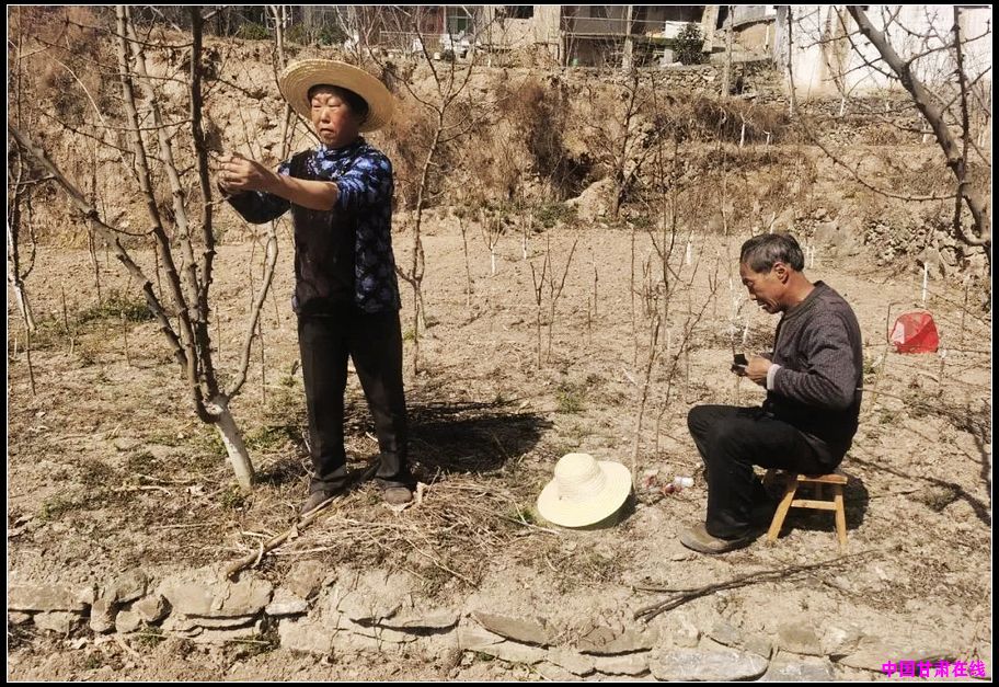 7e4dbac69b3ca3a450fb1df2ddc8b998.jpg nEO_IMG_图片2.jpg