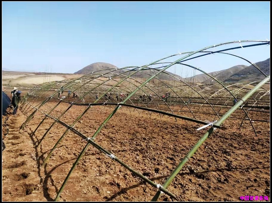 8141490f0ea58ed27a31c788a15c6bbf.jpg nEO_IMG_图片5.jpg