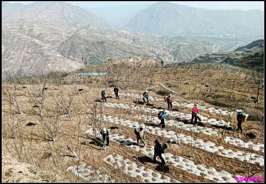 576450c6bedd3b854bb3f2a2aaf806f9.jpg nEO_IMG_图片5.jpg