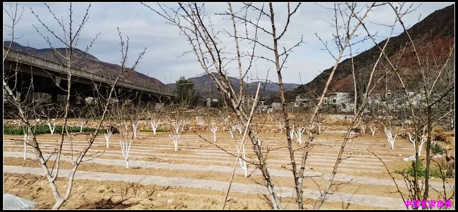 f4dff82f134c0eb224ddb0f1b3dd8fa0.jpg nEO_IMG_图片2.jpg