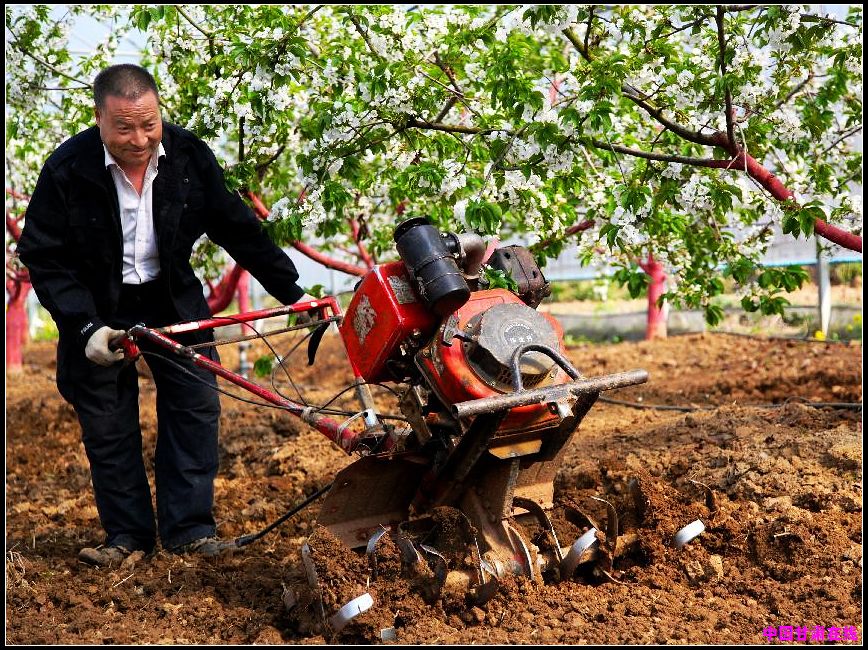 3f4773bd75e90fd8c53ab797ba446a3e.jpg nEO_IMG_图片3.jpg