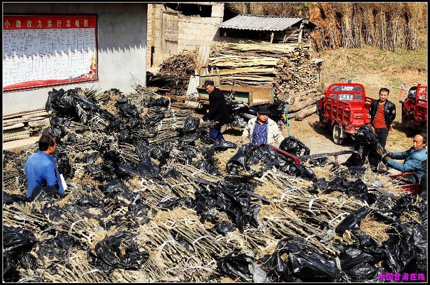 65e10d5b1661be788f58aa47074445d9.jpg nEO_IMG_图片3.jpg