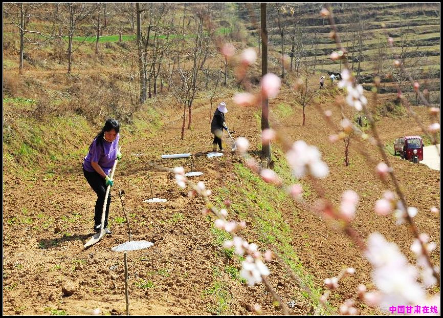 8c2cec640ff284b065df7c51526e5f11.jpg nEO_IMG_图片5.jpg