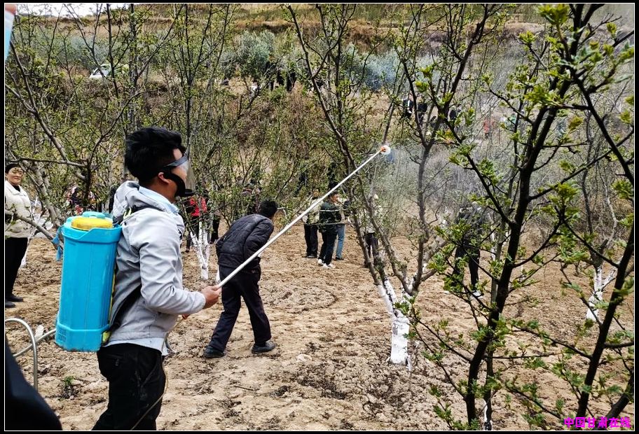 5623b883995737d133ca66416d525067.jpg nEO_IMG_图片4.jpg