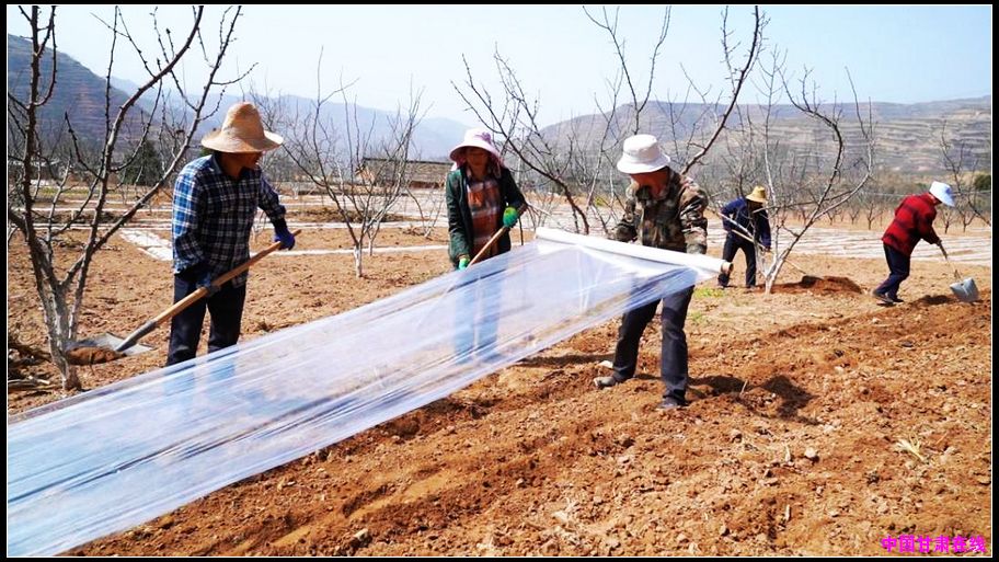 c1f664a4e3a494f929cbd931e2002788.jpg nEO_IMG_图片7.jpg