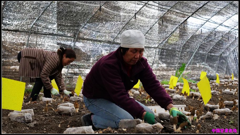 77811f677d1fc588a94392e0433cdeac.jpg nEO_IMG_图片3.jpg