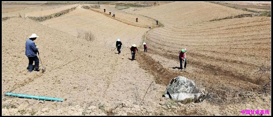 0f094c7a87a1bddd0d409db9de54d5b5.jpg nEO_IMG_图片7.jpg