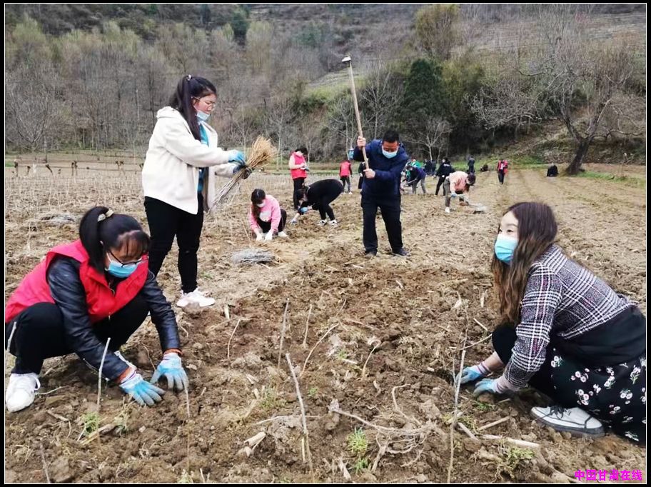 3cf05e3cc8941db11f7f4113406d045a.jpg nEO_IMG_图片3.jpg