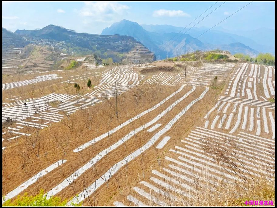 587df2e0b7487d1ce248f5364227182b.jpg nEO_IMG_图片5.jpg