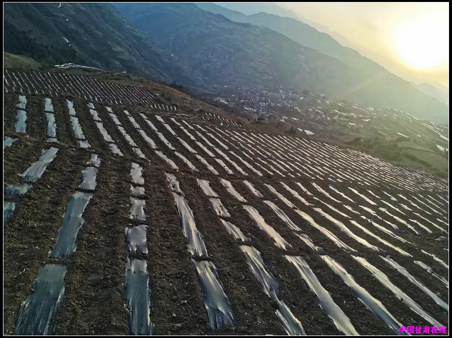 d99acfba1914fb29e6035a45076e378e.jpg nEO_IMG_图片9.jpg