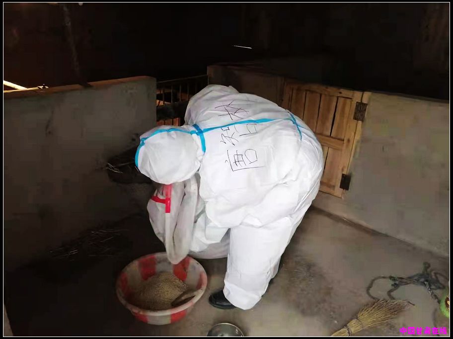 f3e3776a970ff2a1d93188f2efea2f1e.jpg nEO_IMG_图片5.jpg