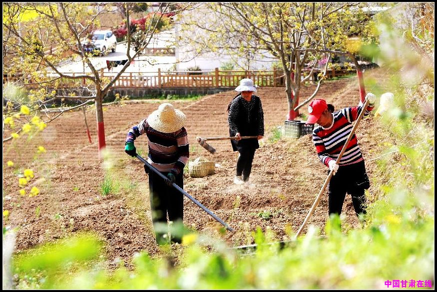 b36462cd68501da7dbb64db16074e06e.jpg nEO_IMG_图片5.jpg