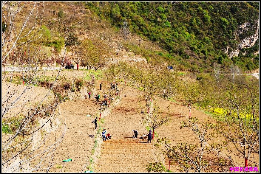 c9d0f37504a2da866edc45e51d908864.jpg nEO_IMG_图片6.jpg