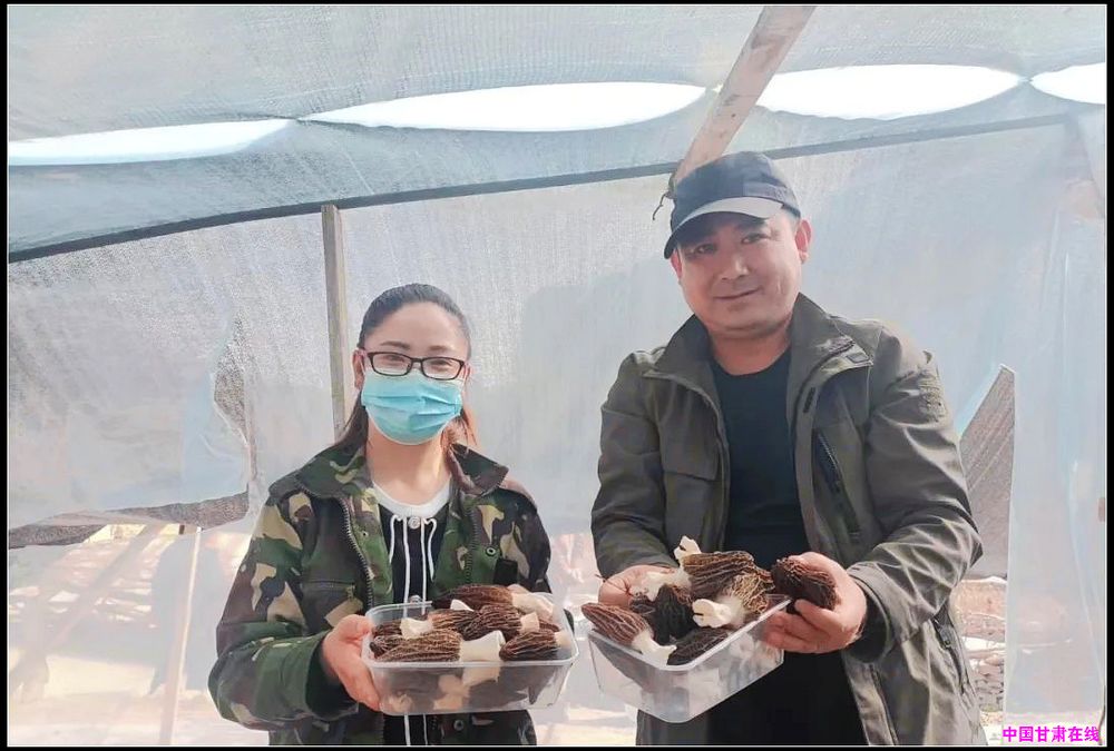 d76f0e66aedf9265348945a3b39e3019.jpg nEO_IMG_图片4.jpg