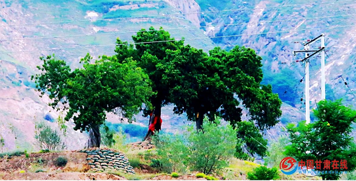 944249bbf02e5e7296c27419b206c9c8.jpg nEO_IMG_图片5.jpg