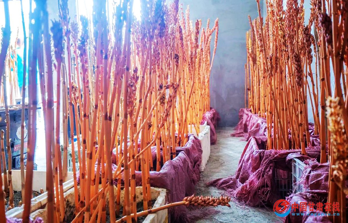 0183dfeda2ef26079f351abcd1581ed9.jpg nEO_IMG_图片4.jpg