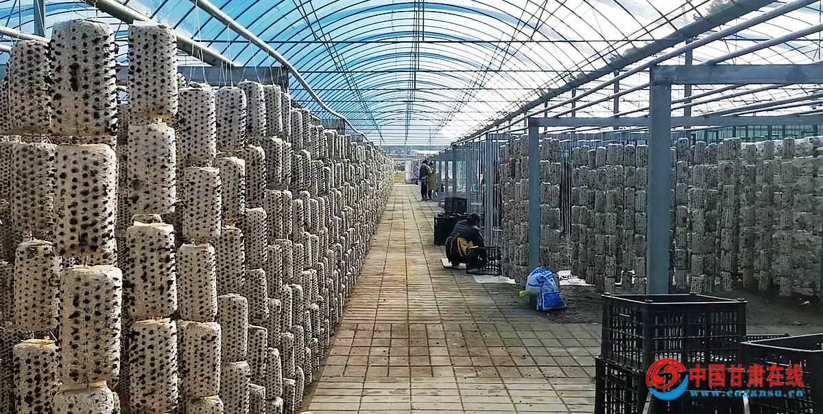 2cda8633242a9c719caa380688ffdeef.jpg nEO_IMG_图片5.jpg