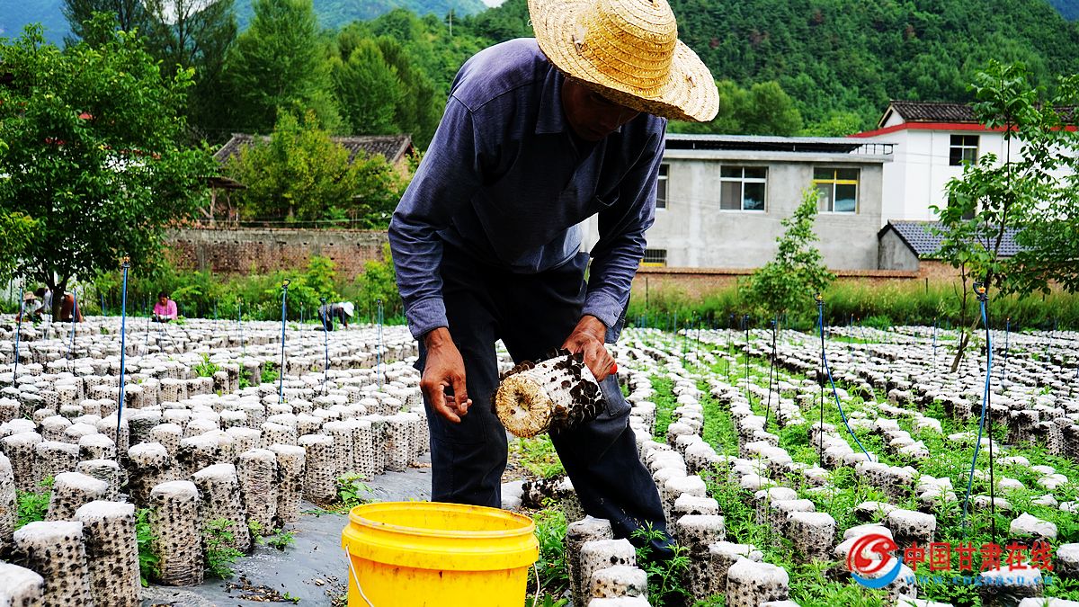 612665955b58152e4cb9fd907ac0b3d1.jpg nEO_IMG_图片6.jpg