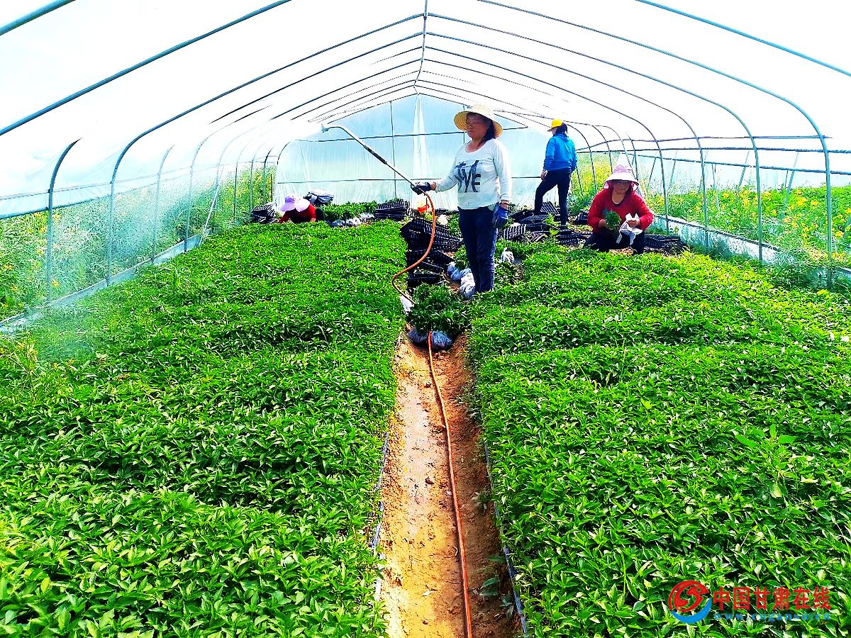 726edb3d0255c95fc25332654d81b78d.jpg nEO_IMG_图片1.jpg