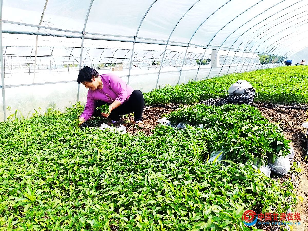 757bfc6043b645f227788081dc245a8f.jpg nEO_IMG_图片2.jpg