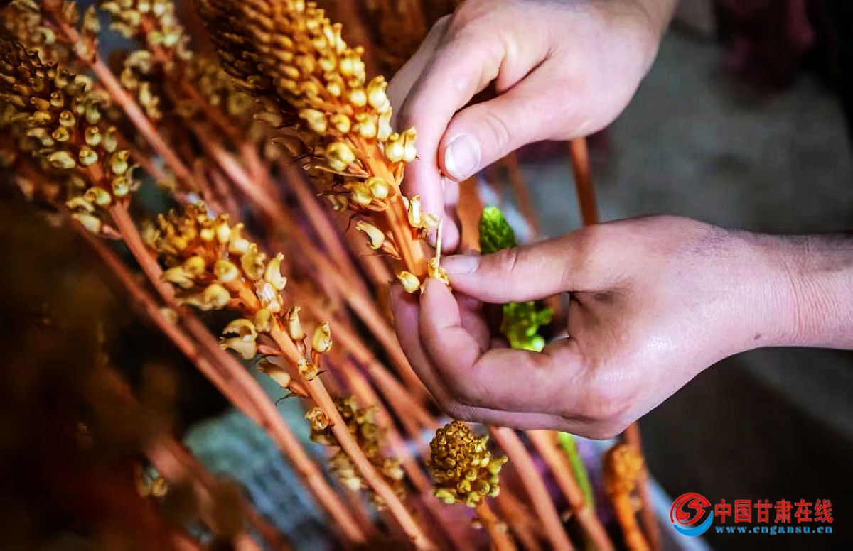 f546b0d845fea8df5bc2f9ef262ca3b5.jpg nEO_IMG_图片3.jpg