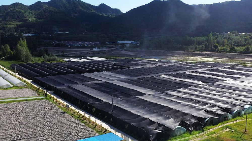 1f52ffc4a0be154df04473cebd693394.jpg nEO_IMG_图片5.jpg