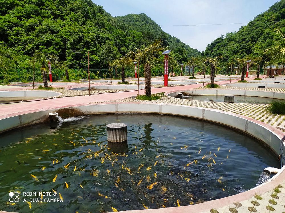 36a9e2f75aa7790a758ee8f3f3d32b75.jpg nEO_IMG_图片6.jpg