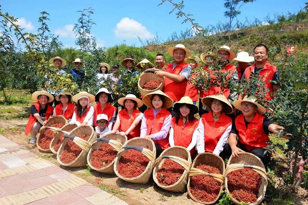 6313309ae8da24414ce6a8ef662d0b61.jpg nEO_IMG_图片7.jpg