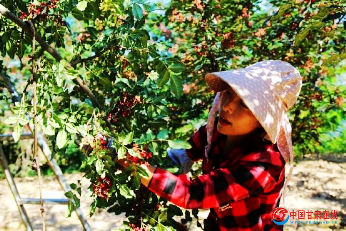 4eb544be47efebdffd510130d8417759.jpg nEO_IMG_2.jpg