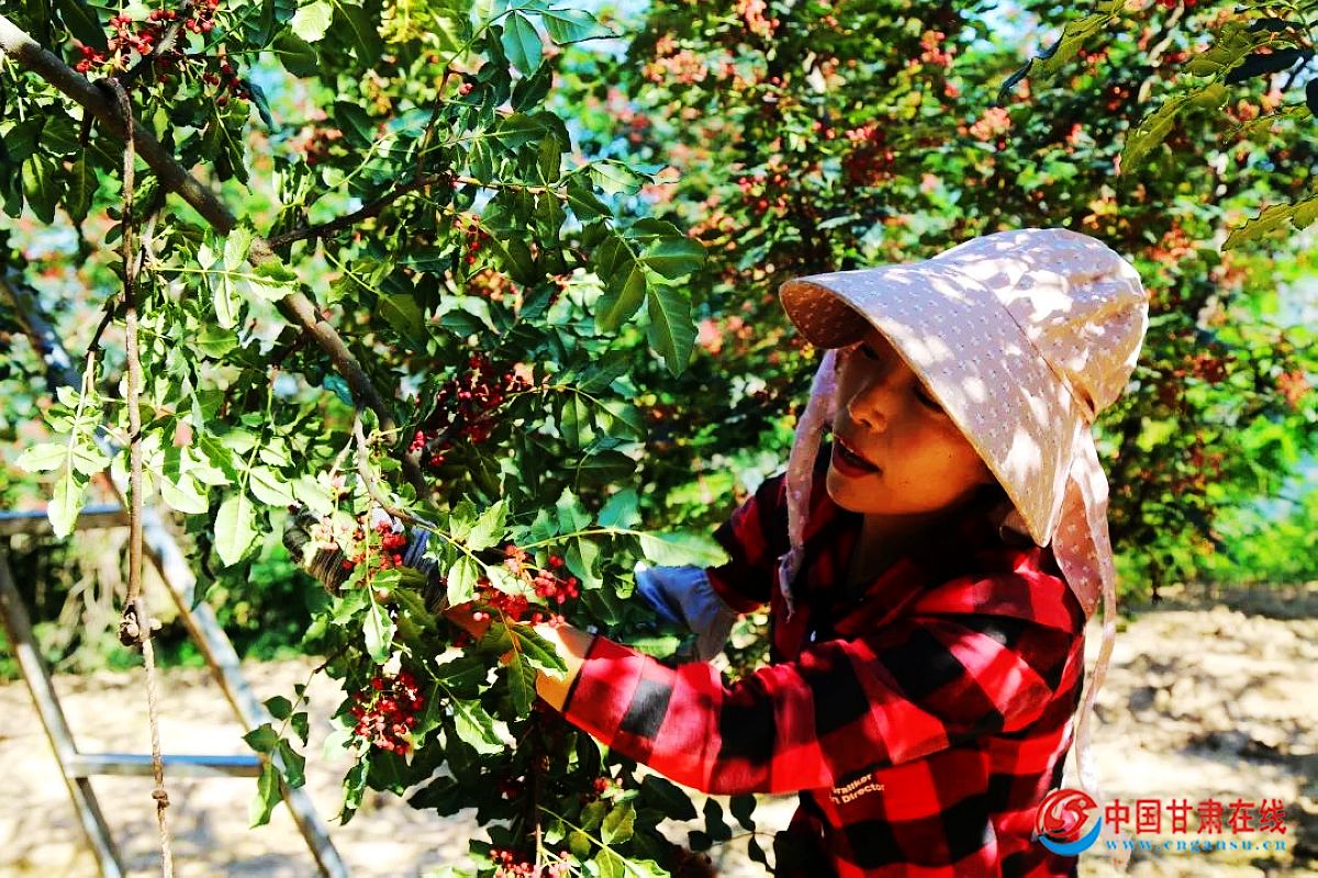 83a4f530e907eafcbcacad11fa6d7c32.jpg nEO_IMG_图片3.jpg