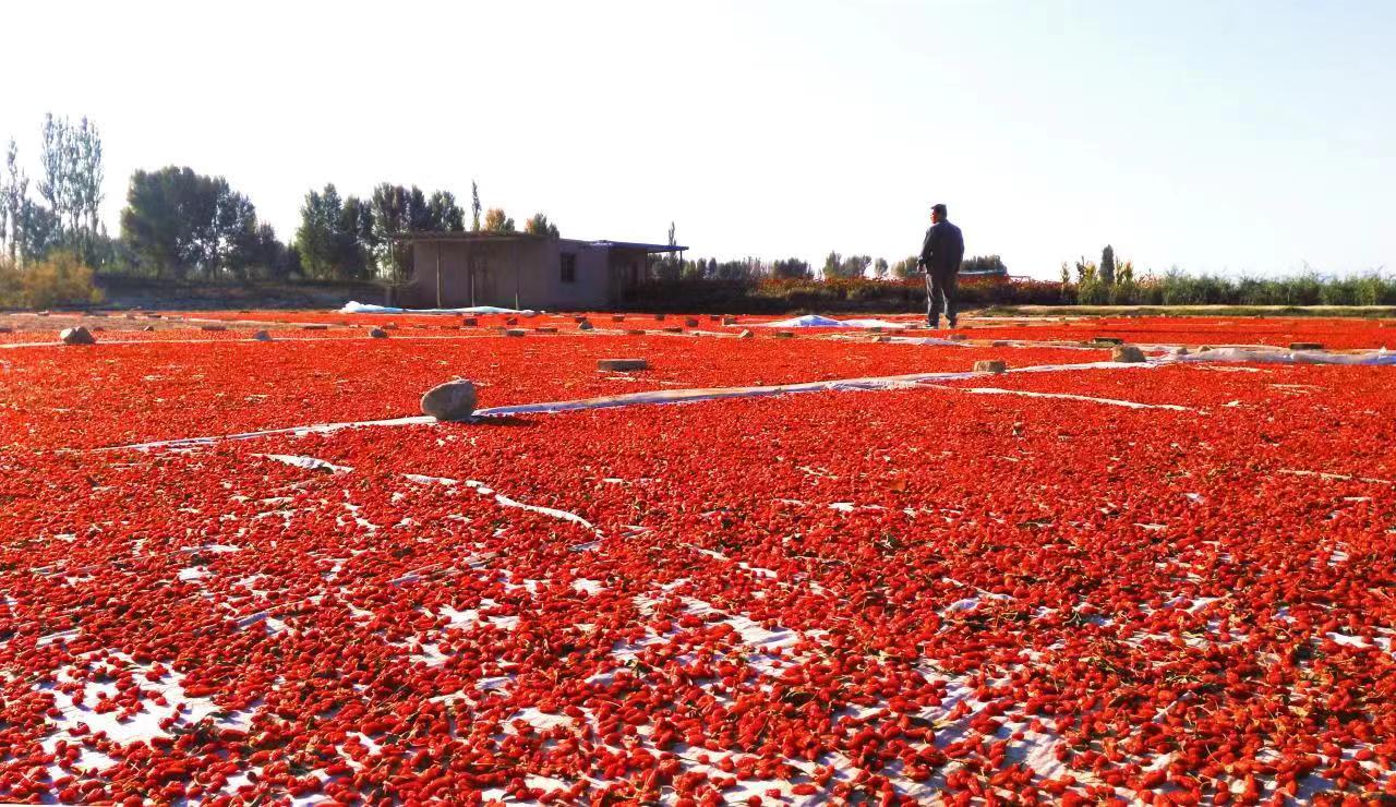 649638f17c693dd6e17a93fdcc1b2819.jpg 3.jpg