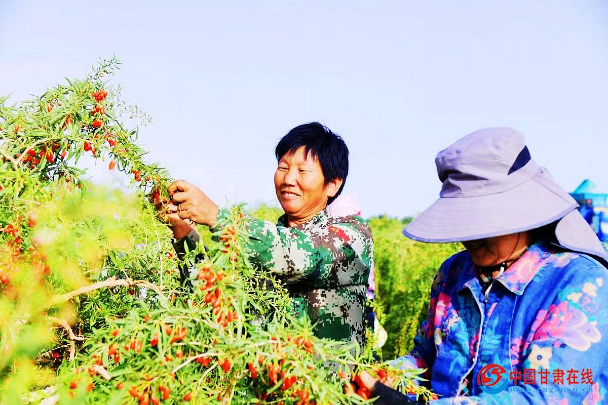 b078b1d1f8d99563503d7f74d619e026.jpg nEO_IMG_1.jpg