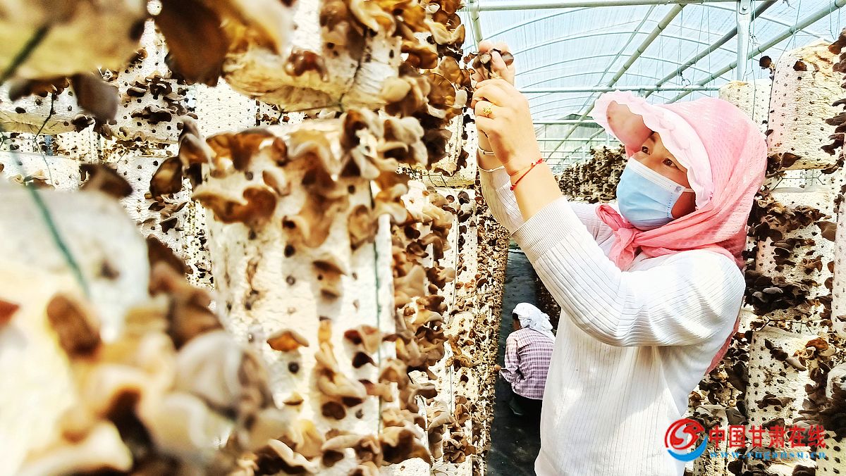 cc9fc2b65ee61ebfc7bb7544c008c7f6.jpg nEO_IMG_mmexport1657945320068.jpg