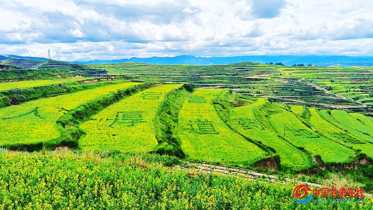 08c78f09ba4e4281597463eceb6932d7.jpg nEO_IMG_mmexport1657945292317.jpg