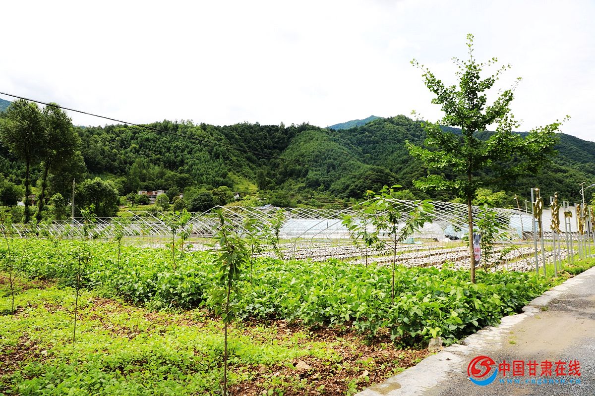 4ee3df156b0733082bf5f98090bbaf10.jpg nEO_IMG_图片6.jpg