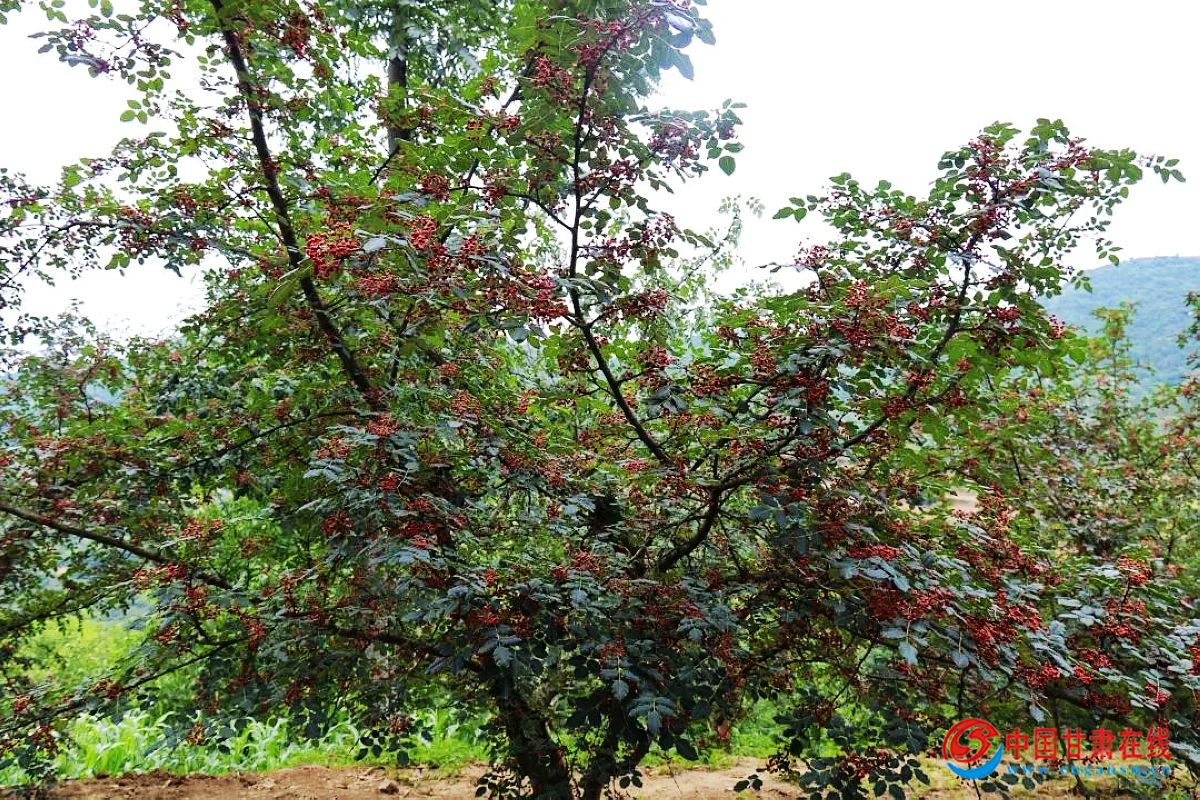 f8a89a0777fb6b78ddd11591aa029d0c.jpg nEO_IMG_图片4.jpg