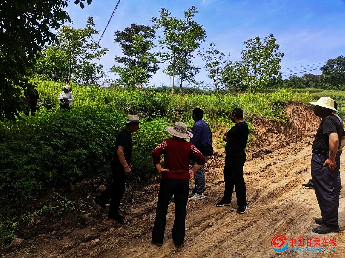 418a809a94c5523e810c487630c22b75.jpg nEO_IMG_图片7.jpg