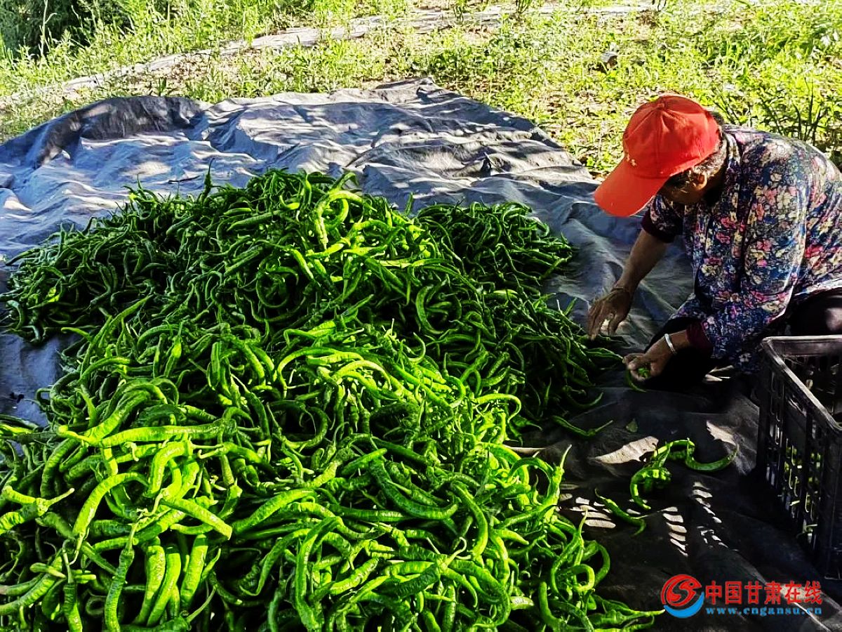 0d457be249d0620b009f6183abcbb5e4.jpg nEO_IMG_微信图片_20220802082031.jpg