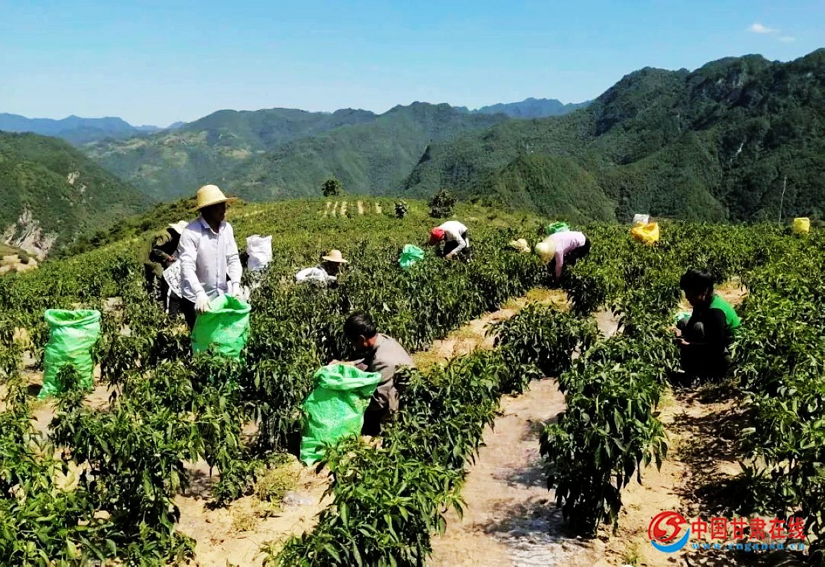 0d4a52bf07c8631cd8c534be3fa054db.jpg nEO_IMG_微信图片_20220802082018.jpg