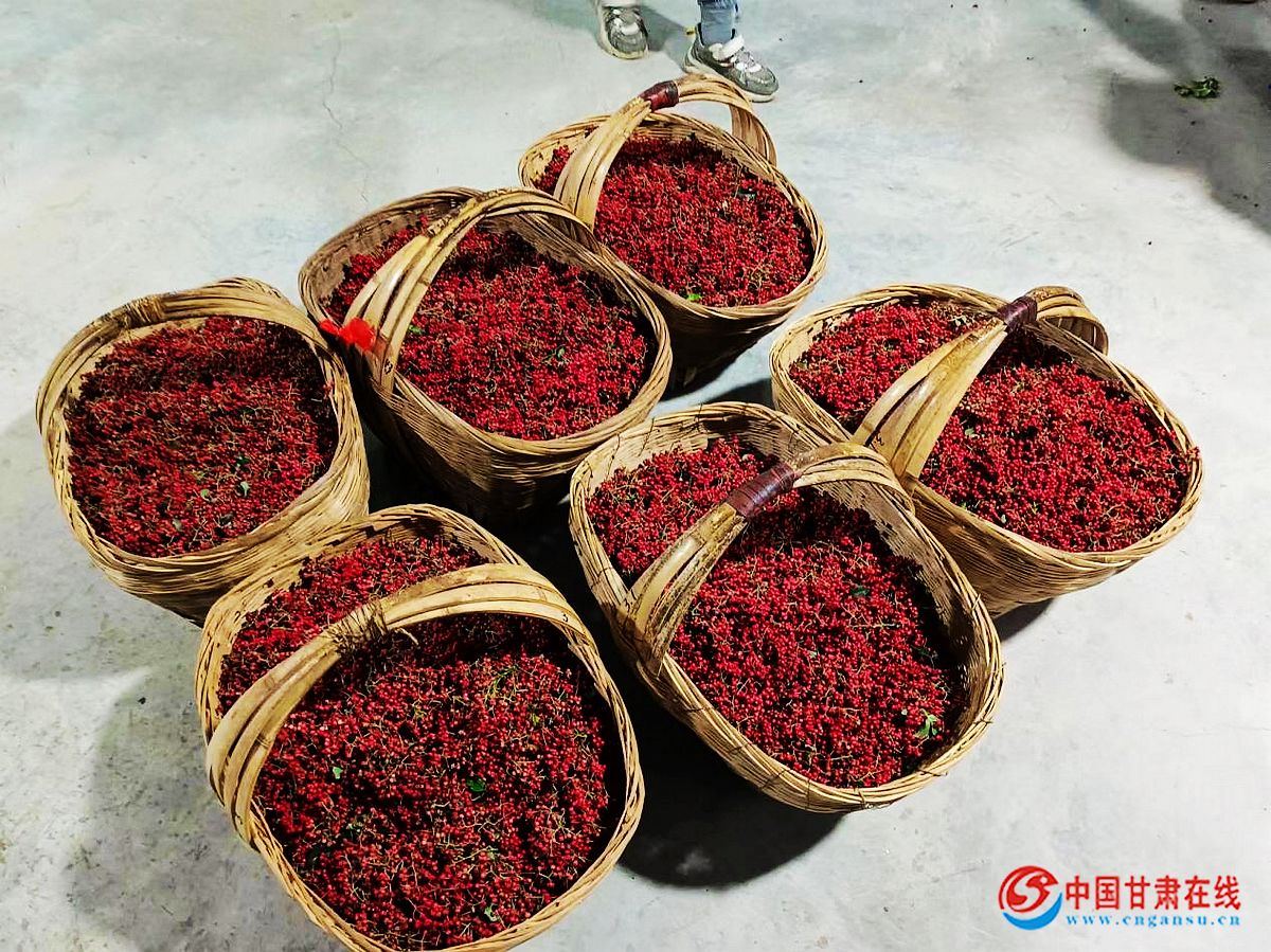 e9942df4541fdad700cd15e256fc1861.jpg nEO_IMG_图片4.jpg