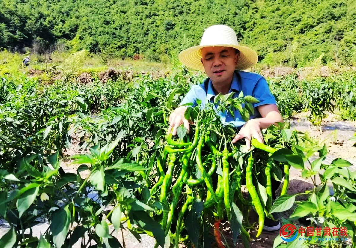 f03c36bbcd0e0a1597894ad11a7cfd65.jpg nEO_IMG_微信图片_20220802081745.jpg