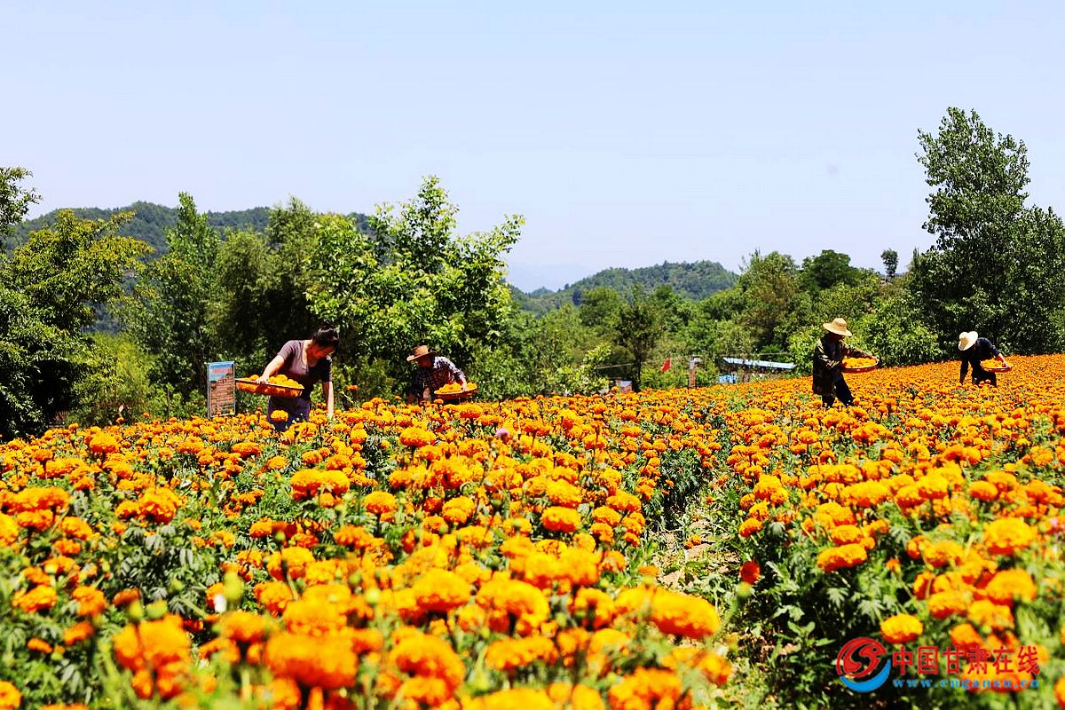 2f03e7ab8b1a728786dbaa38698f9d51.jpg nEO_IMG_图片2.jpg