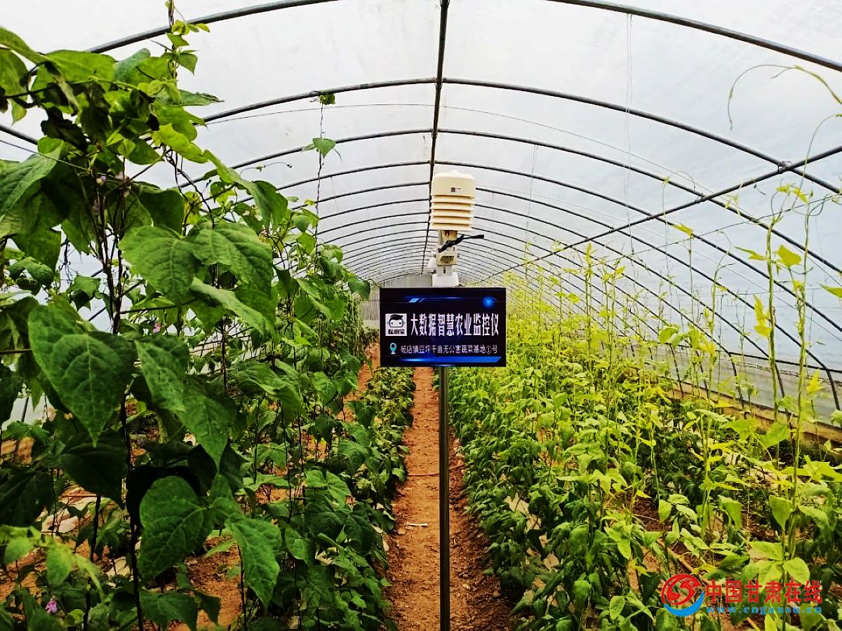 37d26b82cf21c1b9829f48f75ea2eefb.jpg nEO_IMG_图片5.jpg