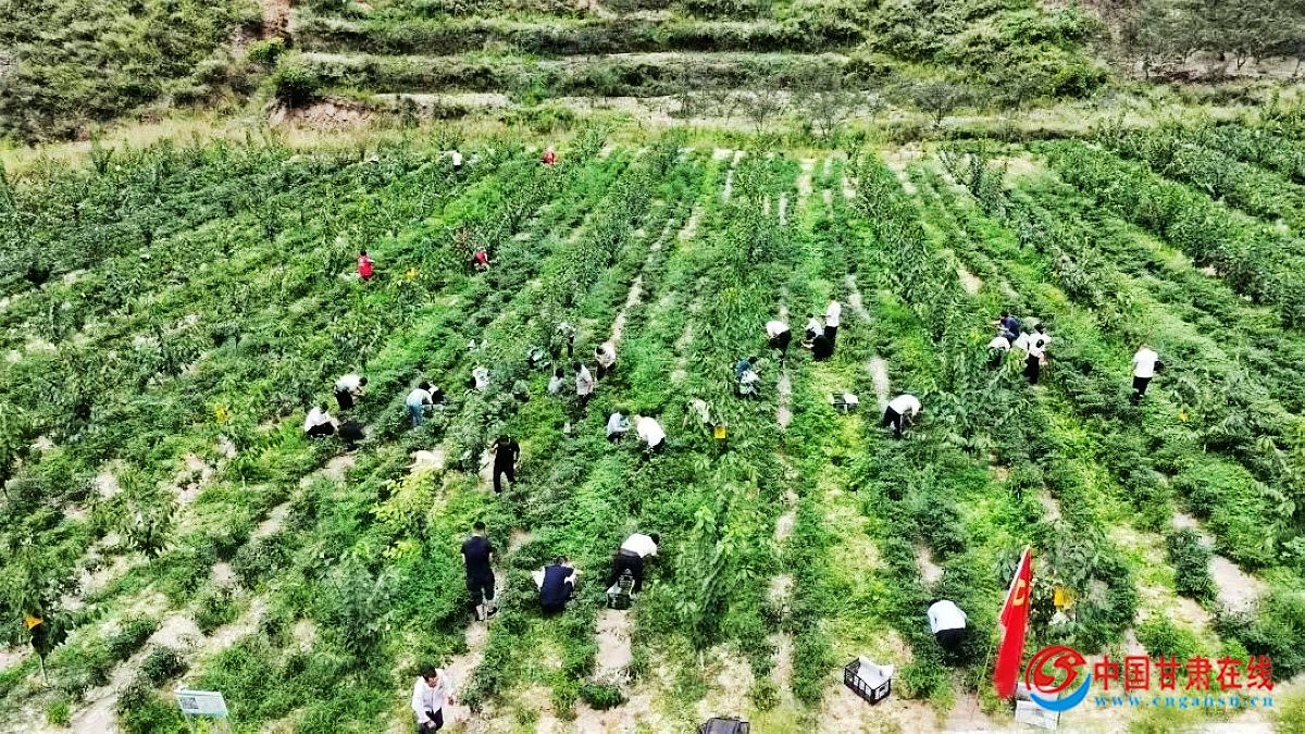 3d463e25ce295e0ad5444636a2f1084b.jpg nEO_IMG_图片1.jpg