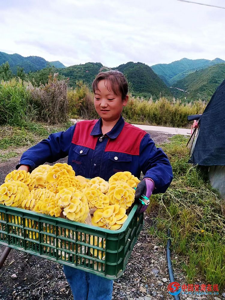 022b1dc43652e15398f945de1e017af5.jpg nEO_IMG_图片11.jpg