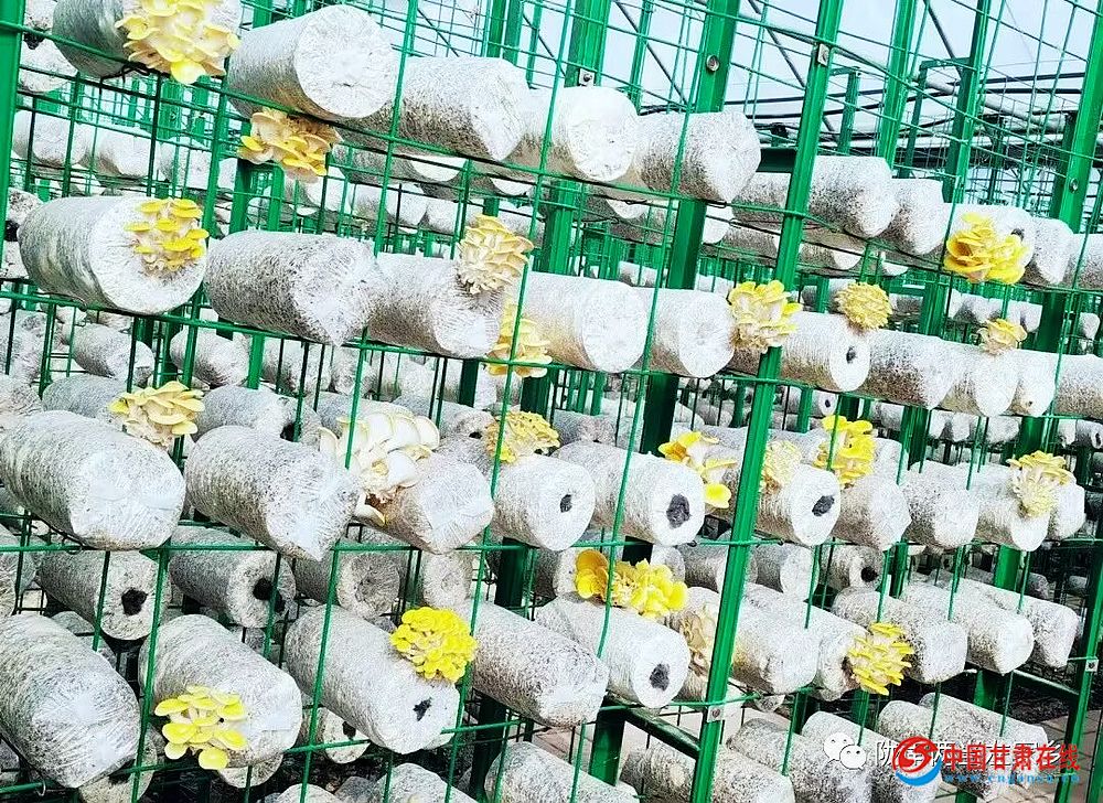 7b4ce293e1c4f97dab0a42a720cc18b3.jpg nEO_IMG_图片12.jpg