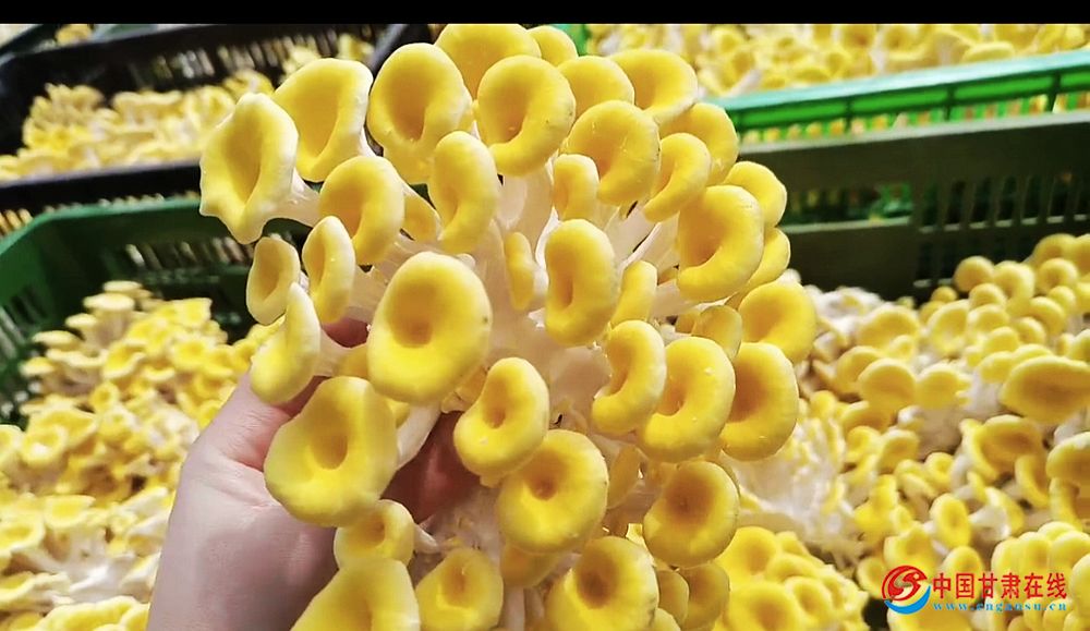 7f02924d35ed32314a896870863ab918.jpg nEO_IMG_图片10.jpg