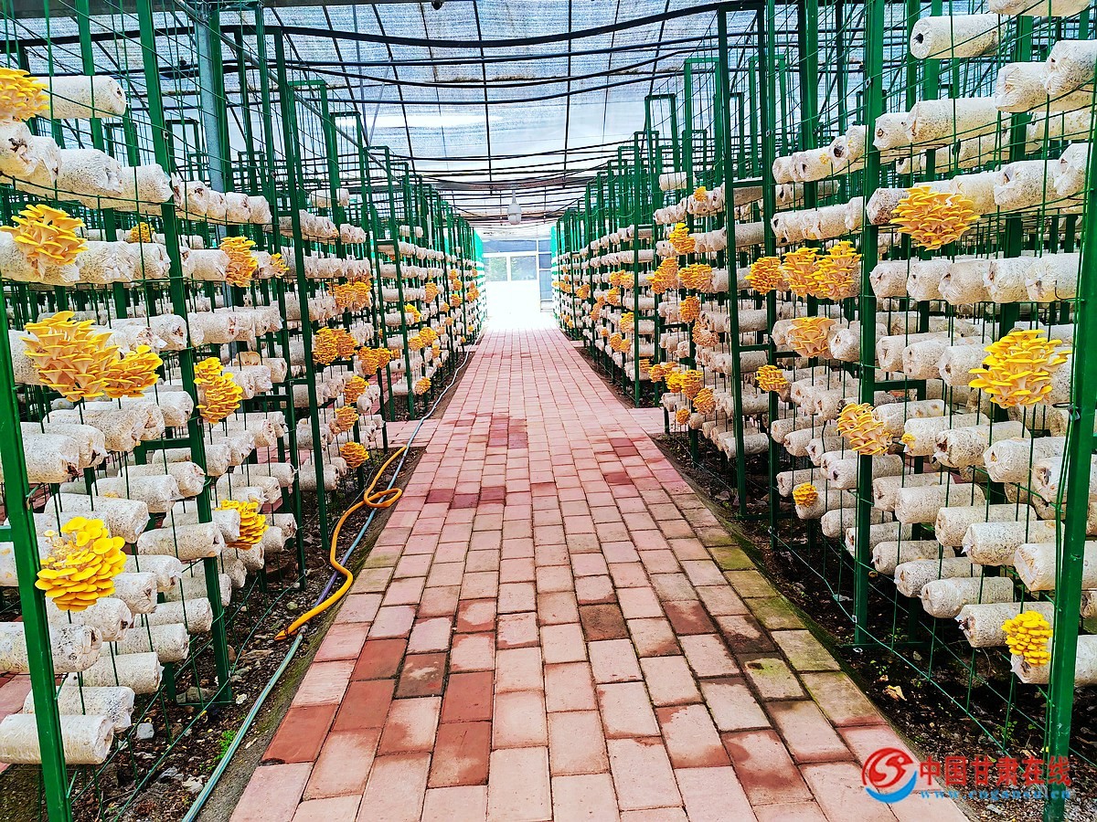 08718befe7471735c9b2e55261795a9e.jpg nEO_IMG_图片1.jpg