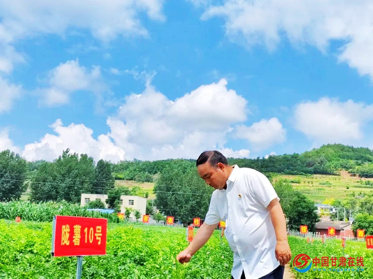 1b9e2e096404df30eb5fc849ee467b04.jpg nEO_IMG_图片17.jpg